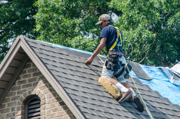 Quick and Trustworthy Emergency Roof Repair Services in Niwot, CO